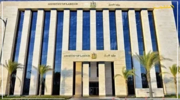 توضيح هام.. وزارة العمل تحسم الجدل حول فرصة عمل مُدرب جيم بالإمارات 1